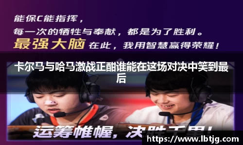 3377体育官网